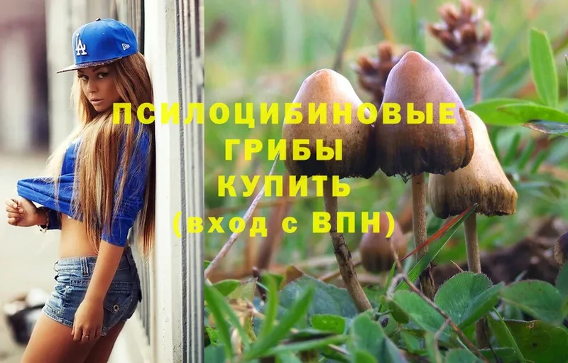 Псилоцибиновые грибы Magic Shrooms  Белёв 